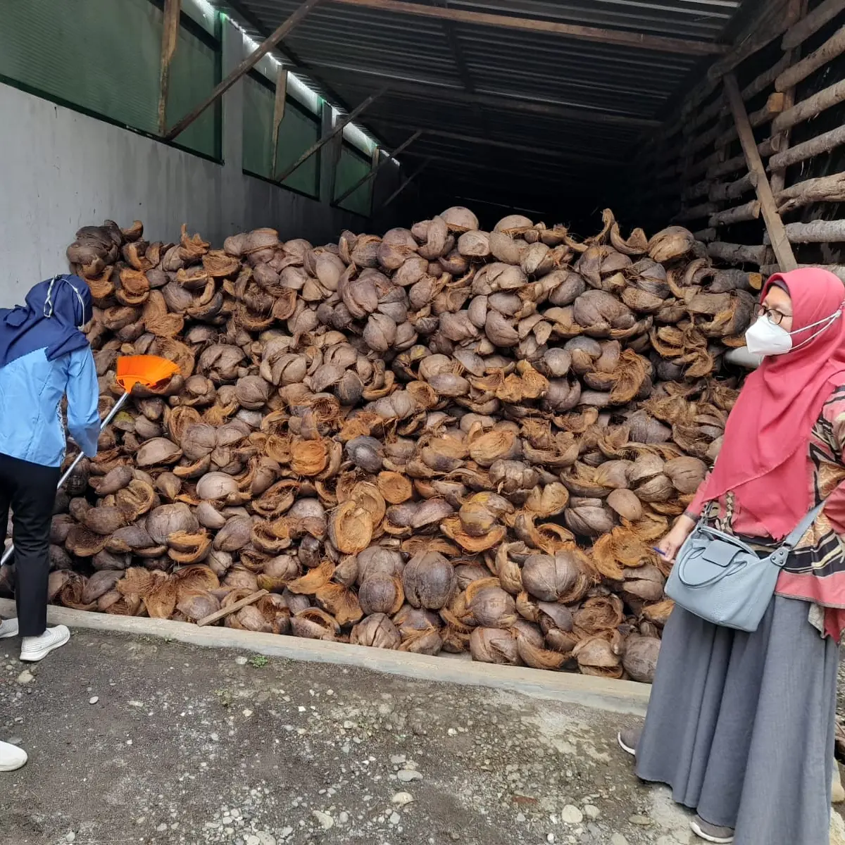 peluang ekspor bisnis sabut kelapa