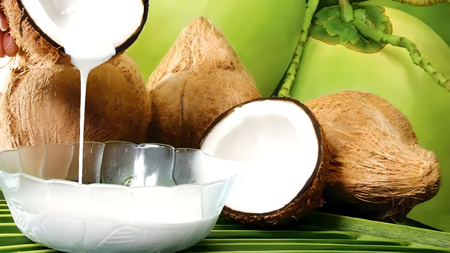 Peluang Bisnis Santan Kelapa