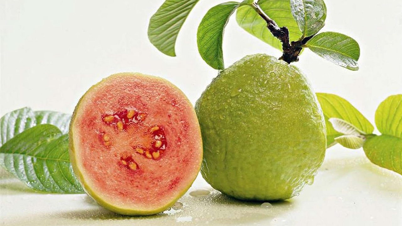 pembuatan keripik buah jambu biji