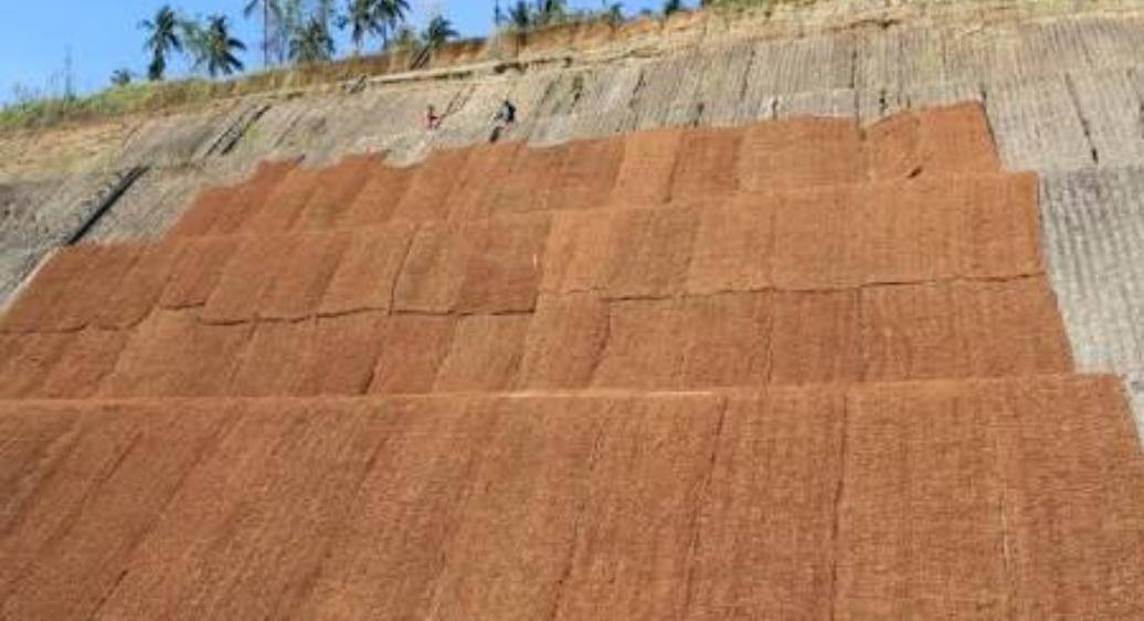 Sabut Kelapa Solusi Lingkungan Berkelanjutan