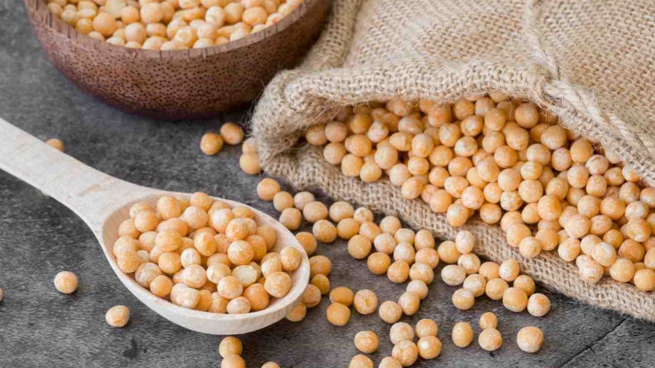 Tips Memilih Mesin Giling Kedelai