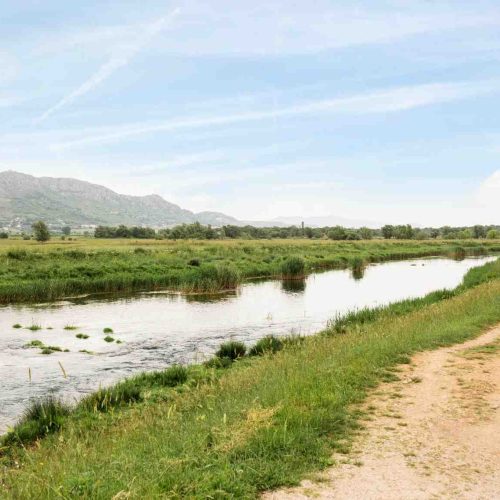 Cara Kerja Pompa Air Irigasi